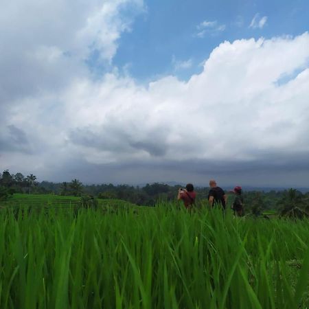 Tegal Jero Homestay Jatiluwih Eksteriør billede