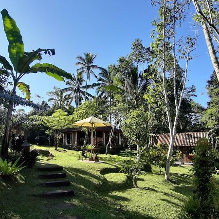 Tegal Jero Homestay Jatiluwih Eksteriør billede
