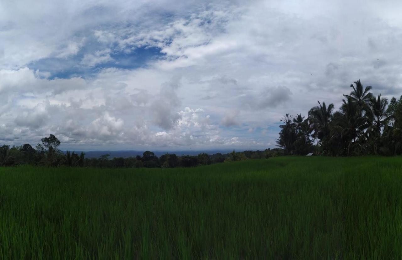 Tegal Jero Homestay Jatiluwih Eksteriør billede
