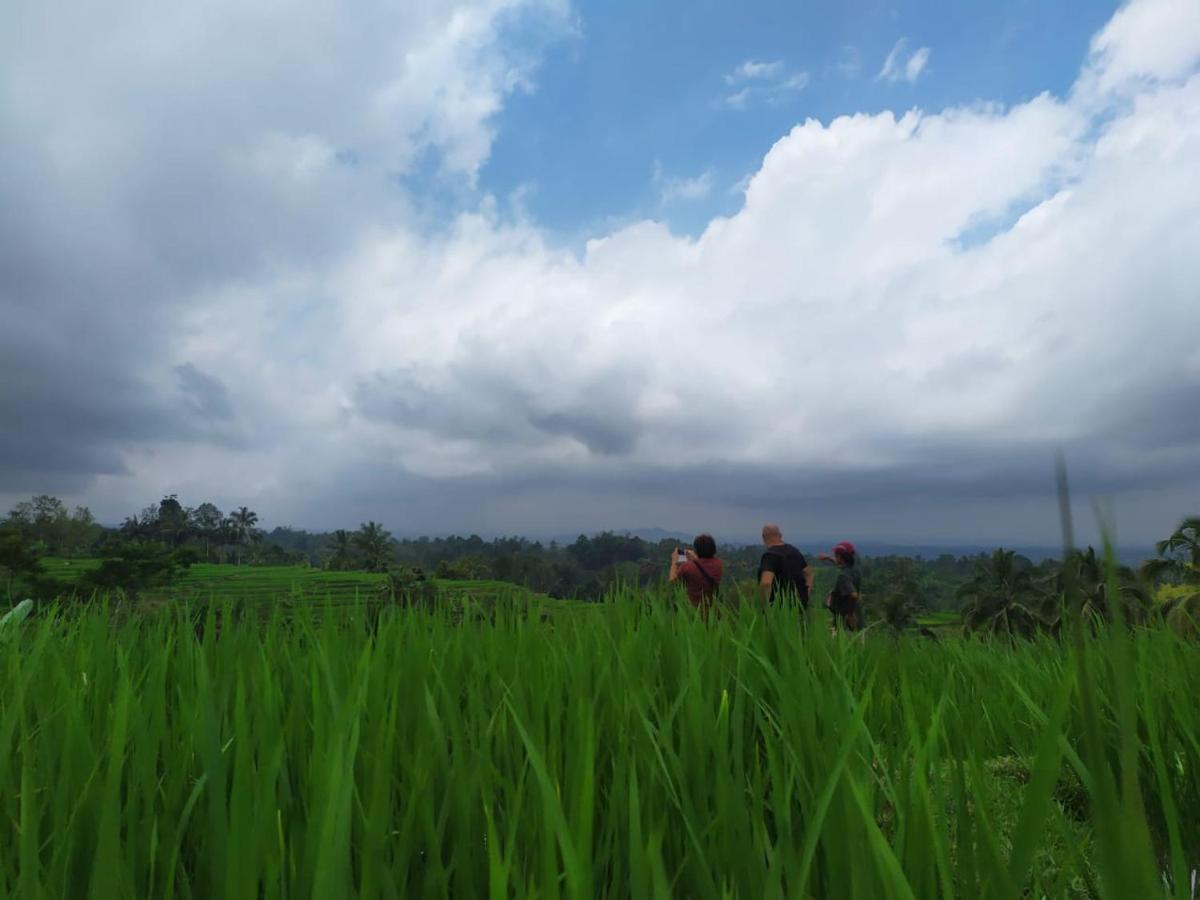 Tegal Jero Homestay Jatiluwih Eksteriør billede