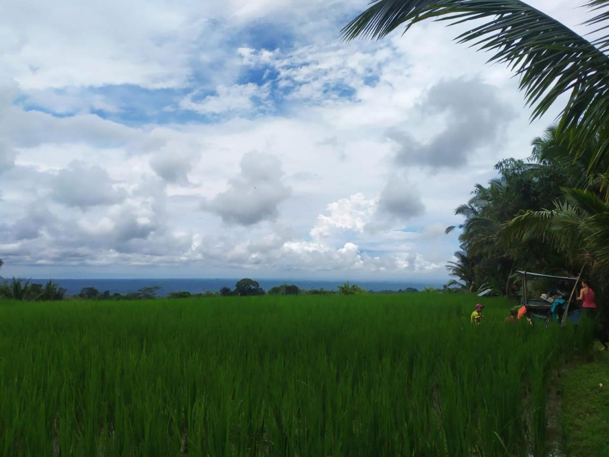 Tegal Jero Homestay Jatiluwih Eksteriør billede