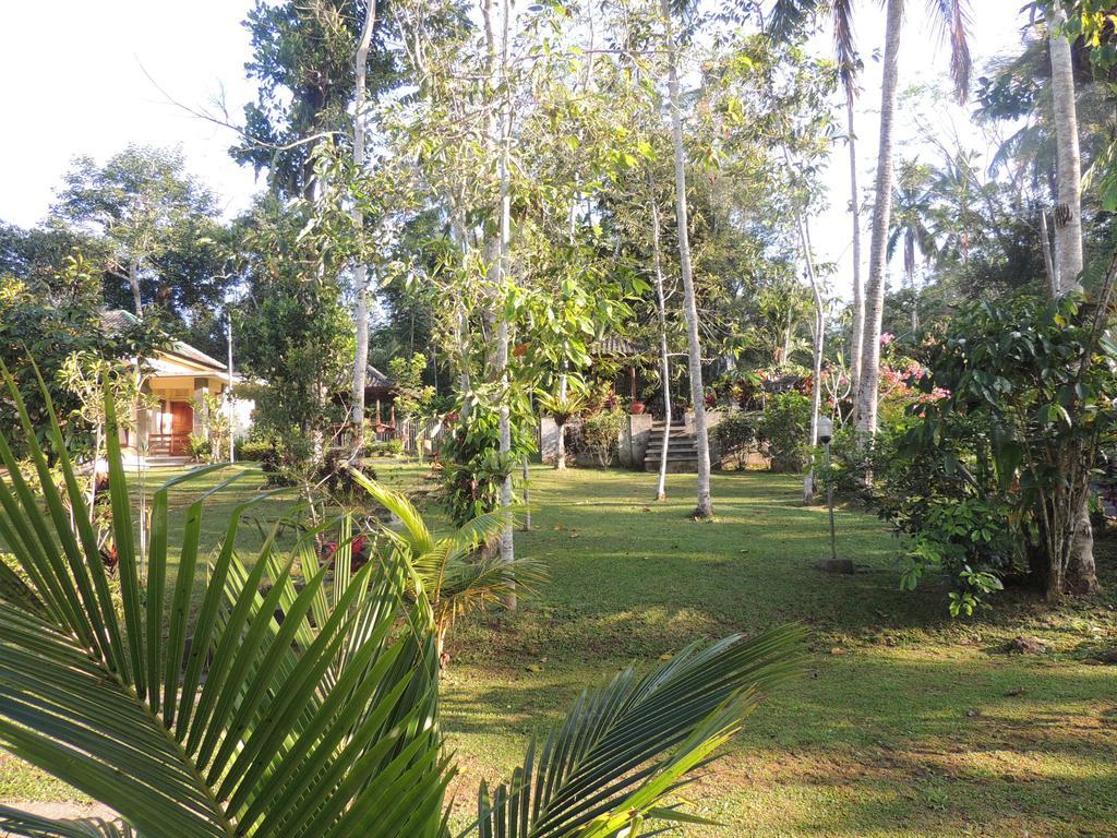 Tegal Jero Homestay Jatiluwih Eksteriør billede