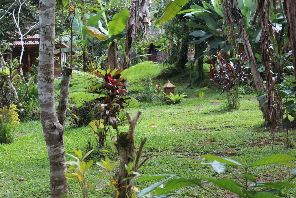 Tegal Jero Homestay Jatiluwih Eksteriør billede