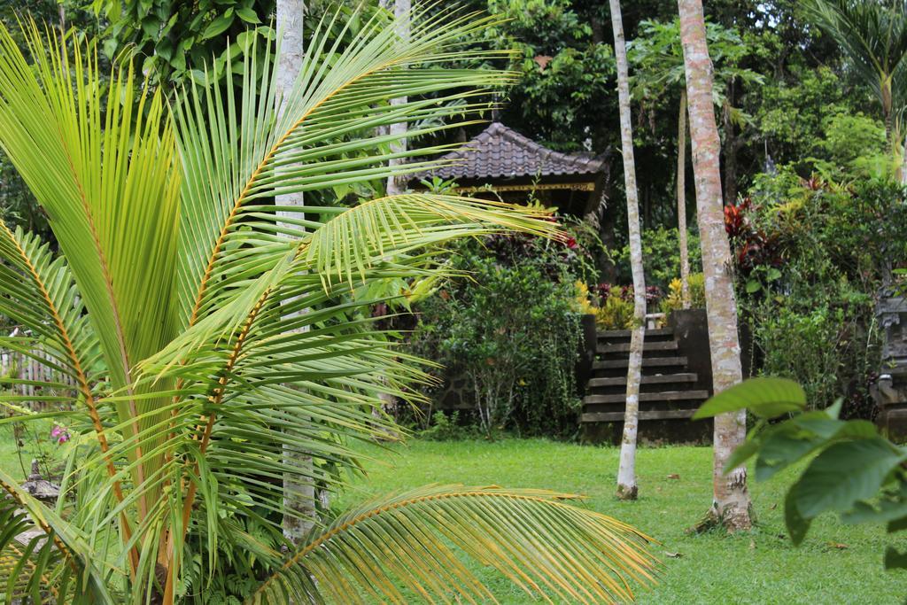 Tegal Jero Homestay Jatiluwih Eksteriør billede
