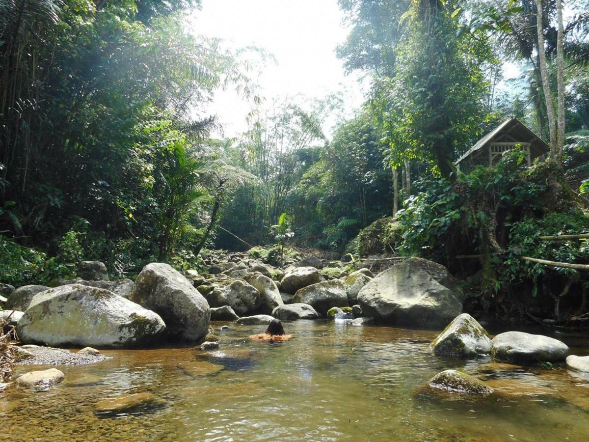 Tegal Jero Homestay Jatiluwih Eksteriør billede