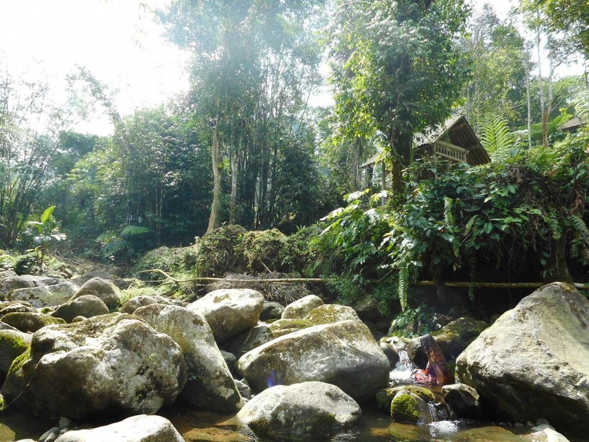 Tegal Jero Homestay Jatiluwih Eksteriør billede