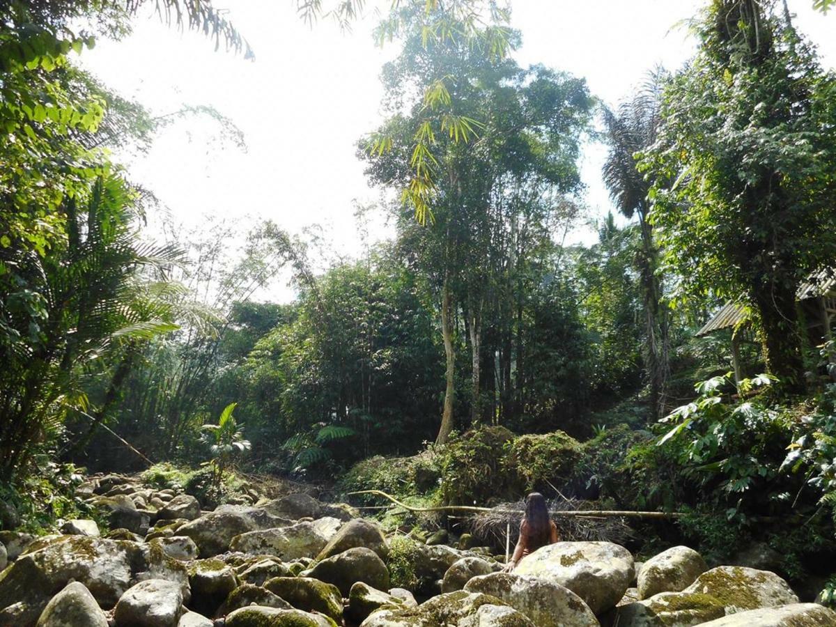 Tegal Jero Homestay Jatiluwih Eksteriør billede