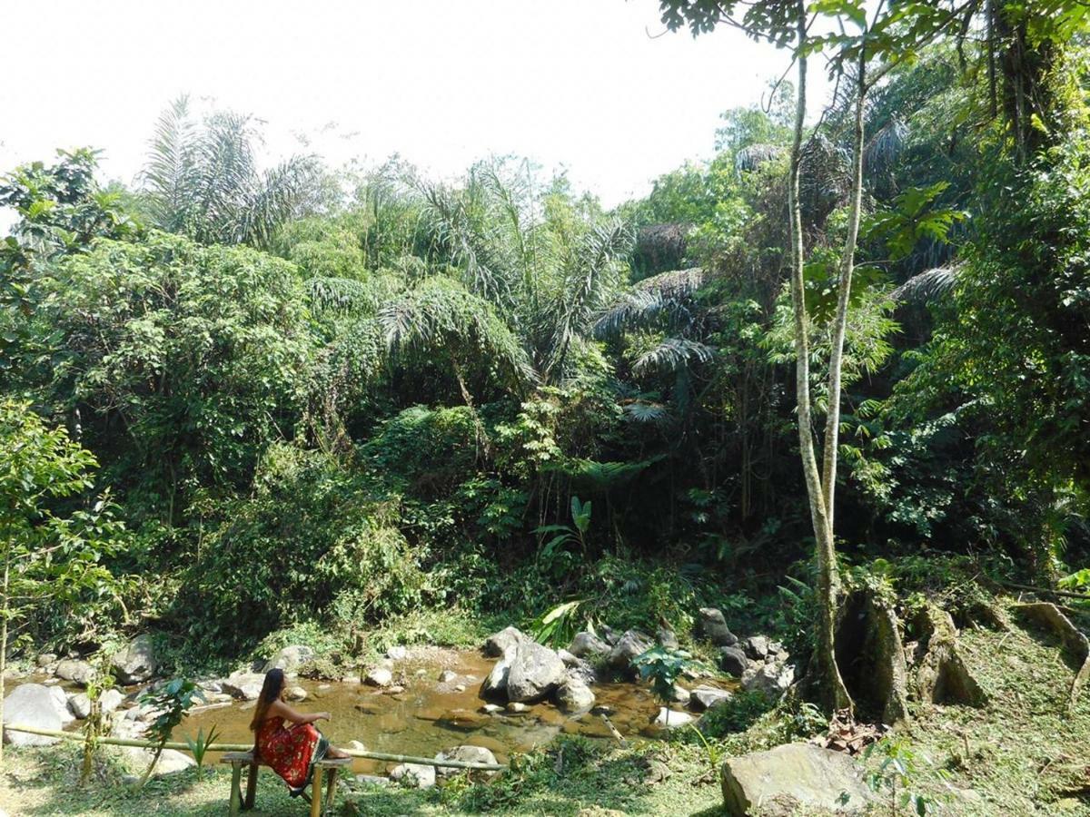 Tegal Jero Homestay Jatiluwih Eksteriør billede