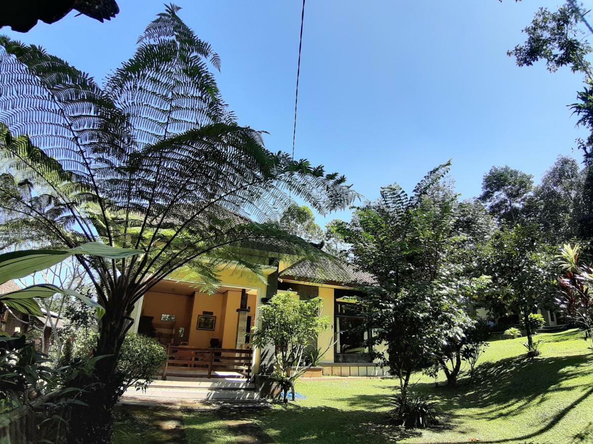 Tegal Jero Homestay Jatiluwih Eksteriør billede