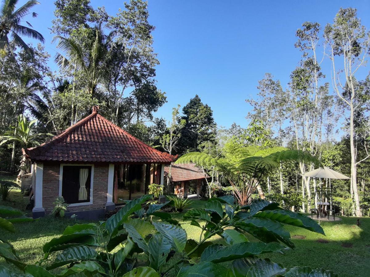 Tegal Jero Homestay Jatiluwih Eksteriør billede