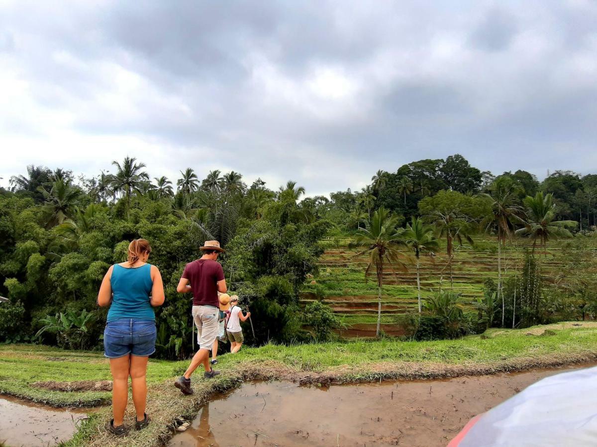 Tegal Jero Homestay Jatiluwih Eksteriør billede